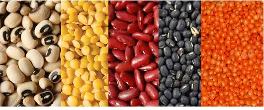 Dals - Indian term used for Lentils